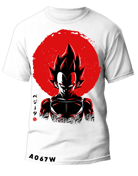 A0067 Dragon ball