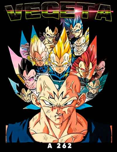 A0262 DRAGON BALL