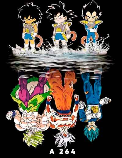 A0264 DRAGON BALL