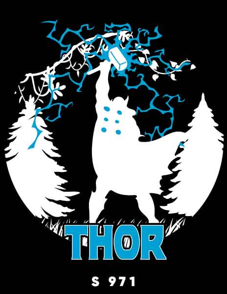 S0971 THOR