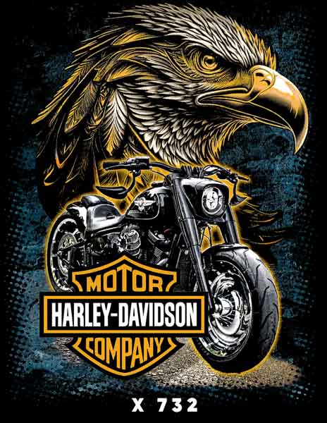 X0732 HARLEY DAVISON